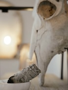 A bundle of sage wrapped in twine rests in a small white bowl. In the background, there is a large animal skull, possibly decorative, with blurred lighting creating a warm atmosphere.