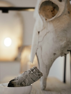 A bundle of sage wrapped in twine rests in a small white bowl. In the background, there is a large animal skull, possibly decorative, with blurred lighting creating a warm atmosphere.