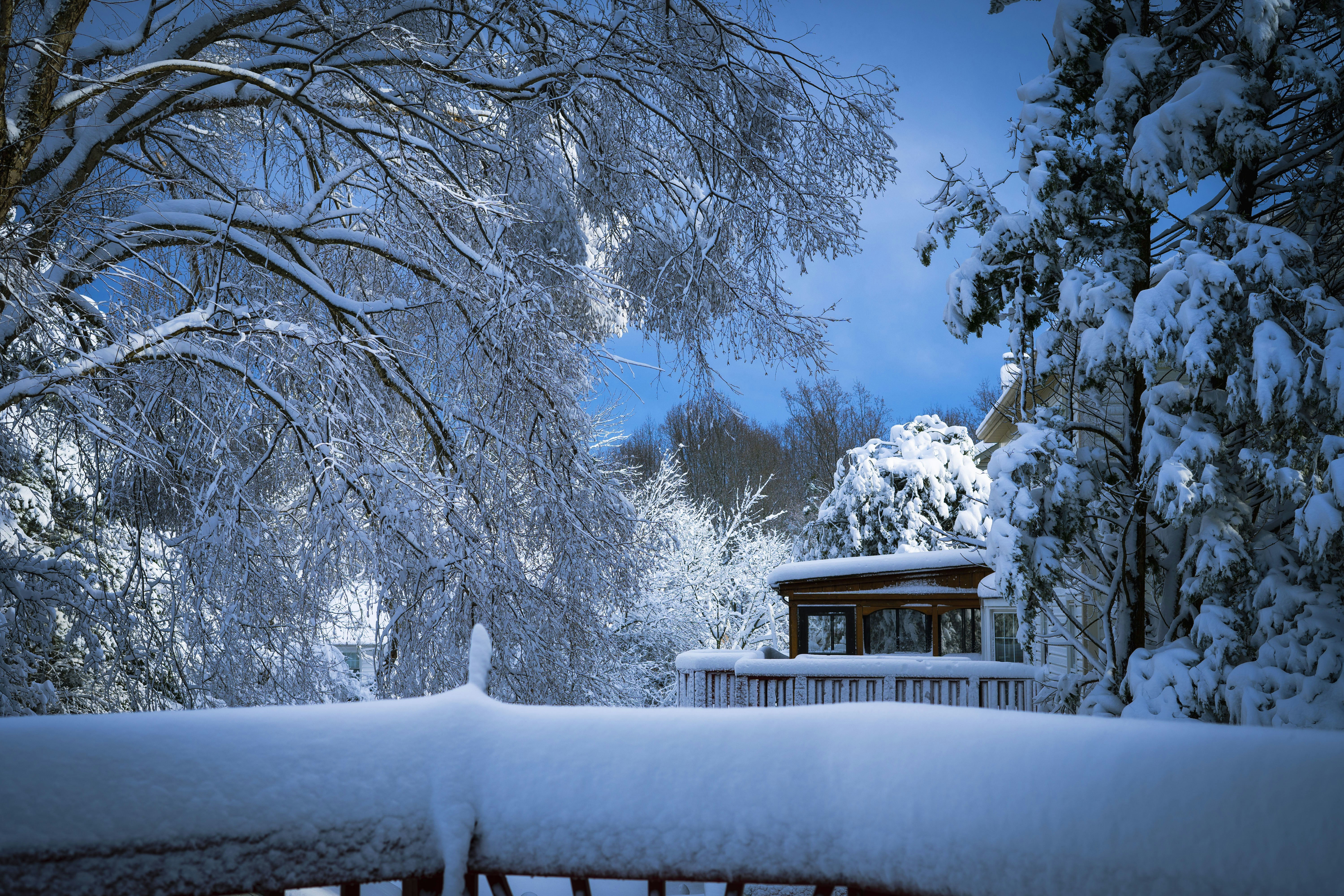 Photo by shah_abrahimi