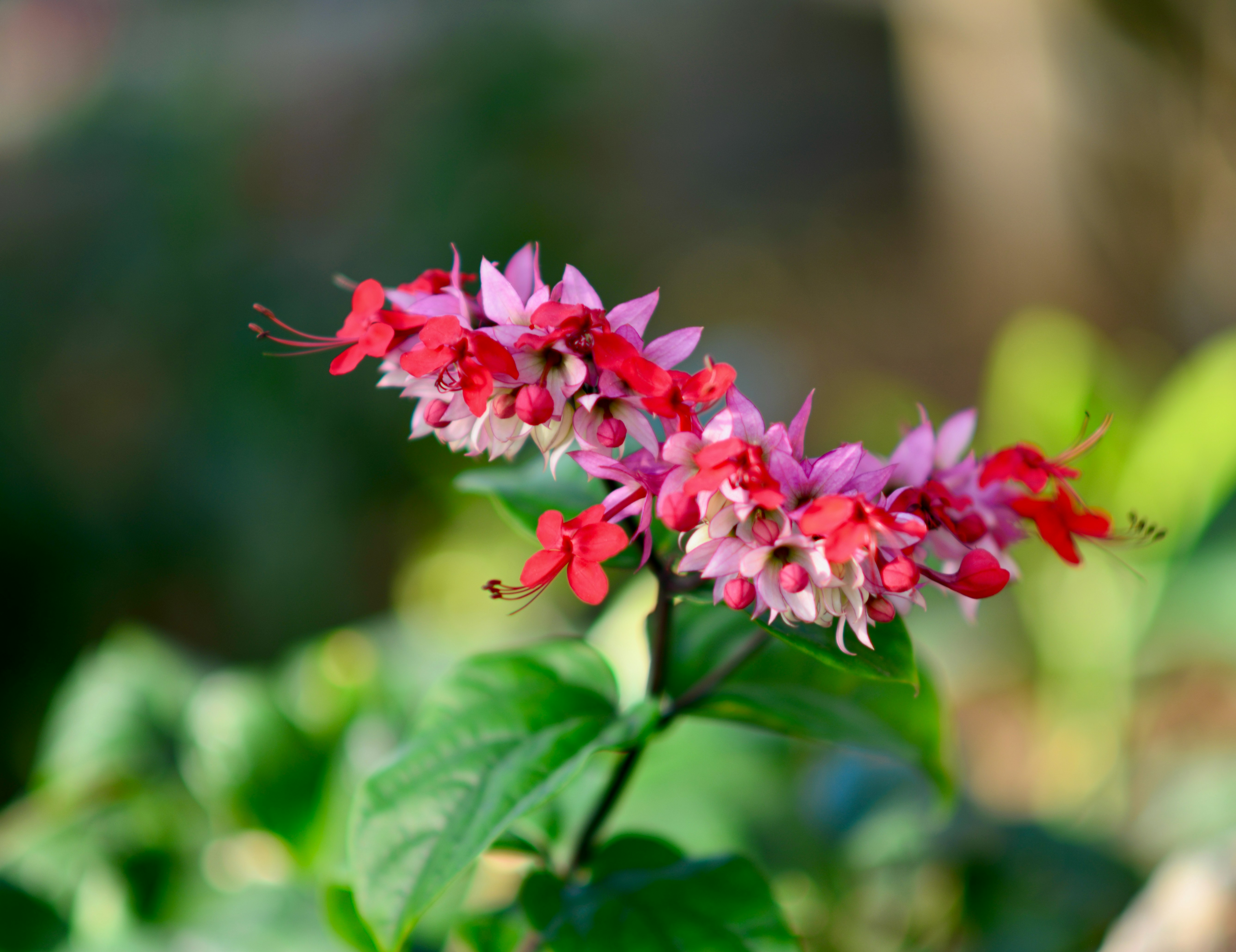 Photo by metacrypto