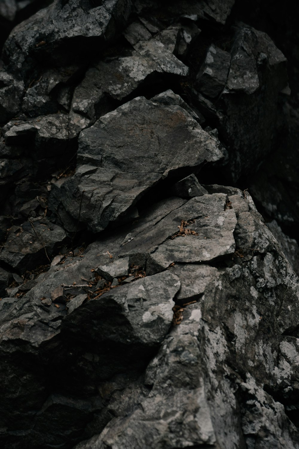 a black and white photo of rocks and grass