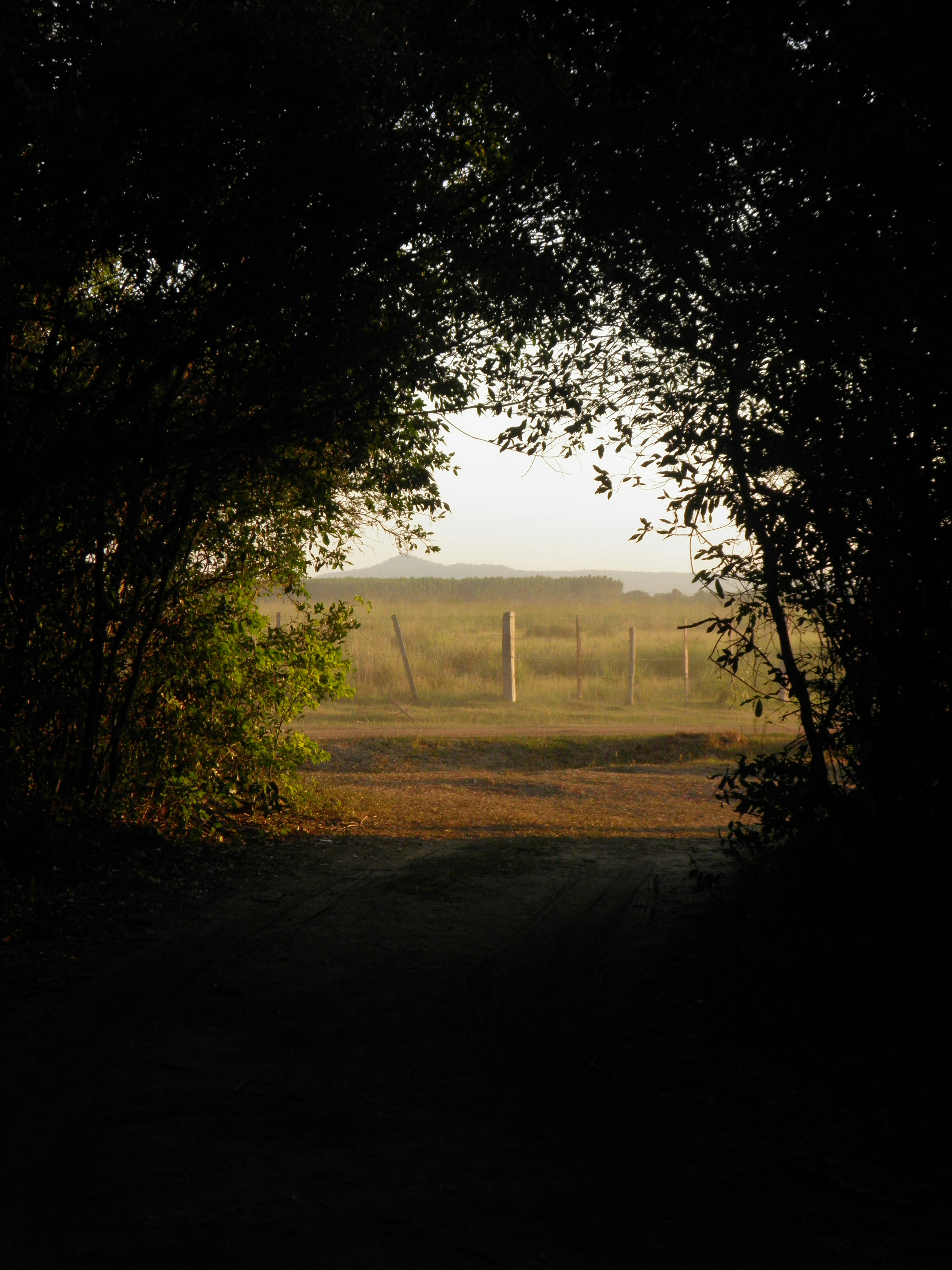 Photo by patoflorentin