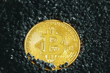 a bit coin sitting on top of a pile of black rocks