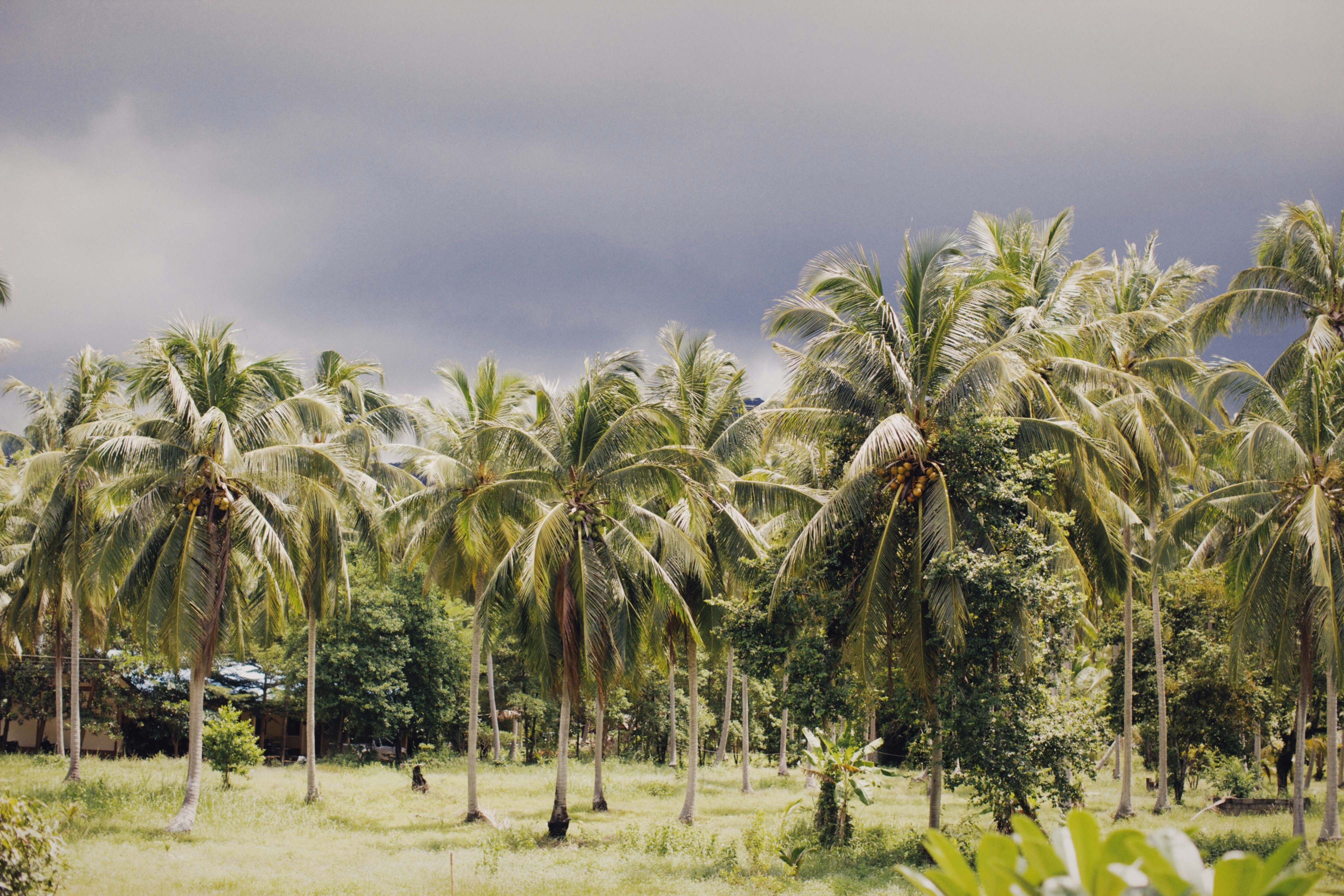 Photo by alexeydemidov