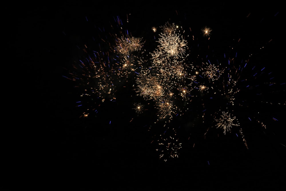 a bunch of fireworks are lit up in the night sky