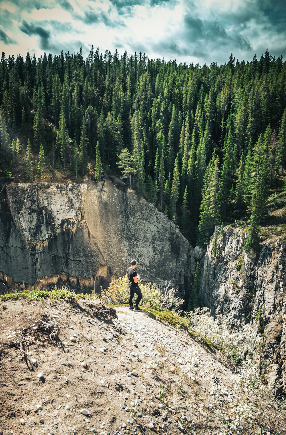 a man standing on top of a mountain next to a forest