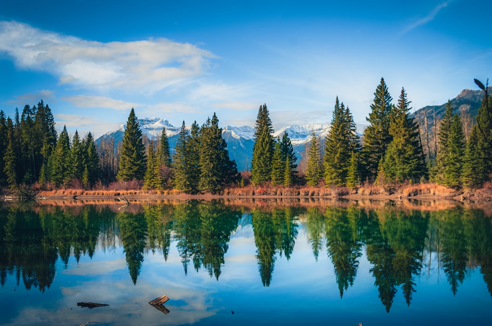 a lake surrounded by trees with mountains in the background