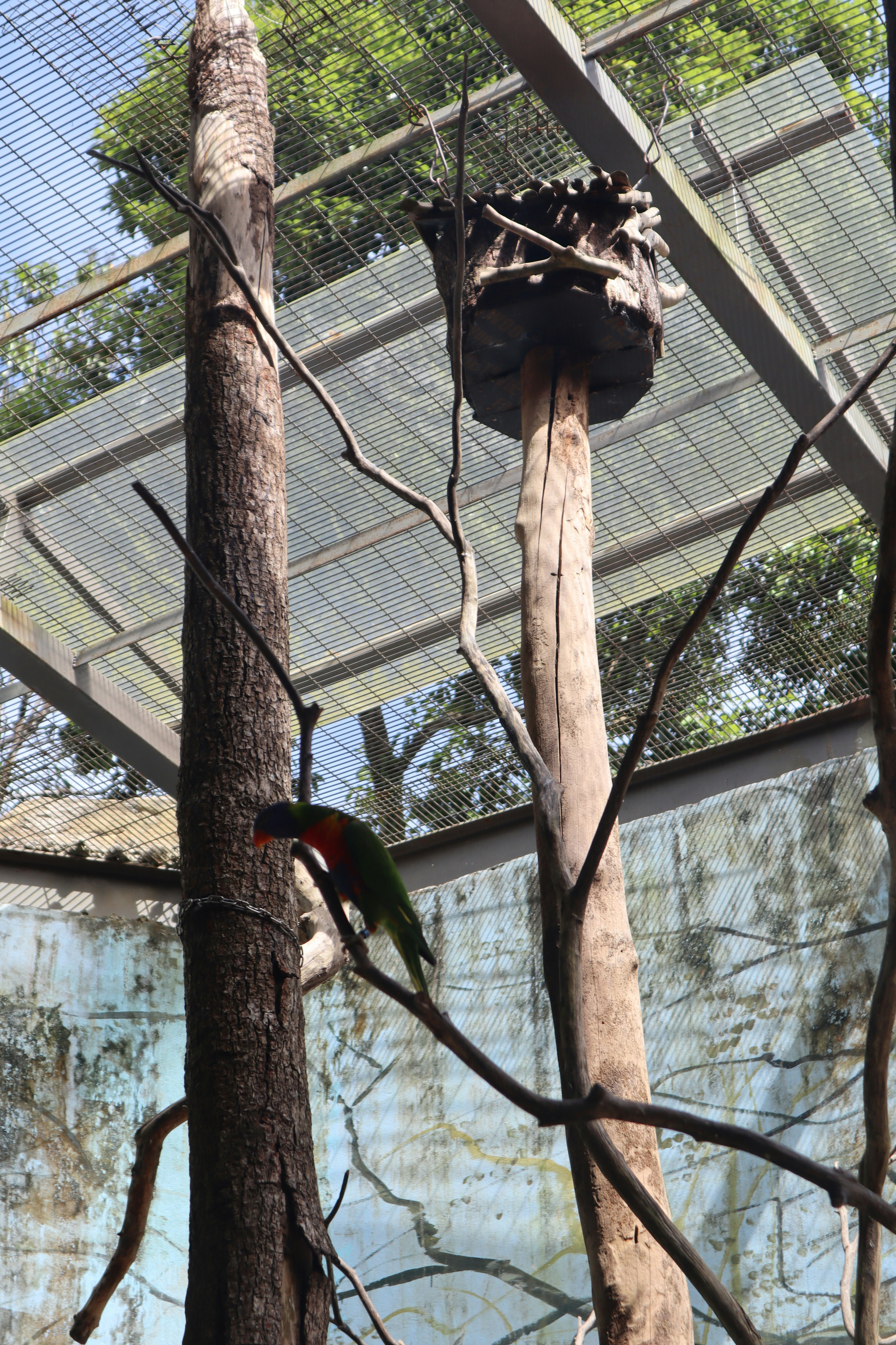 Explorando el Mundo de las Aves: Hábitat, Alimentación y Diversidad Global