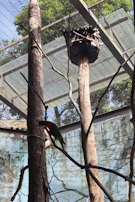 Stainless steel rope mesh installed in an aviary, blending durability with open views.