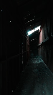 A dimly lit, decaying asylum hallway with flickering lights casting eerie shadows.