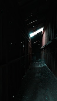A dimly lit, decaying asylum hallway with flickering lights casting eerie shadows.
