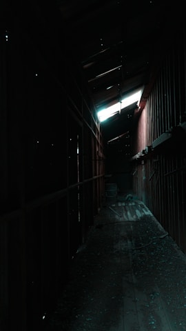 Dimly lit abandoned asylum hallway with peeling paint and flickering lights.