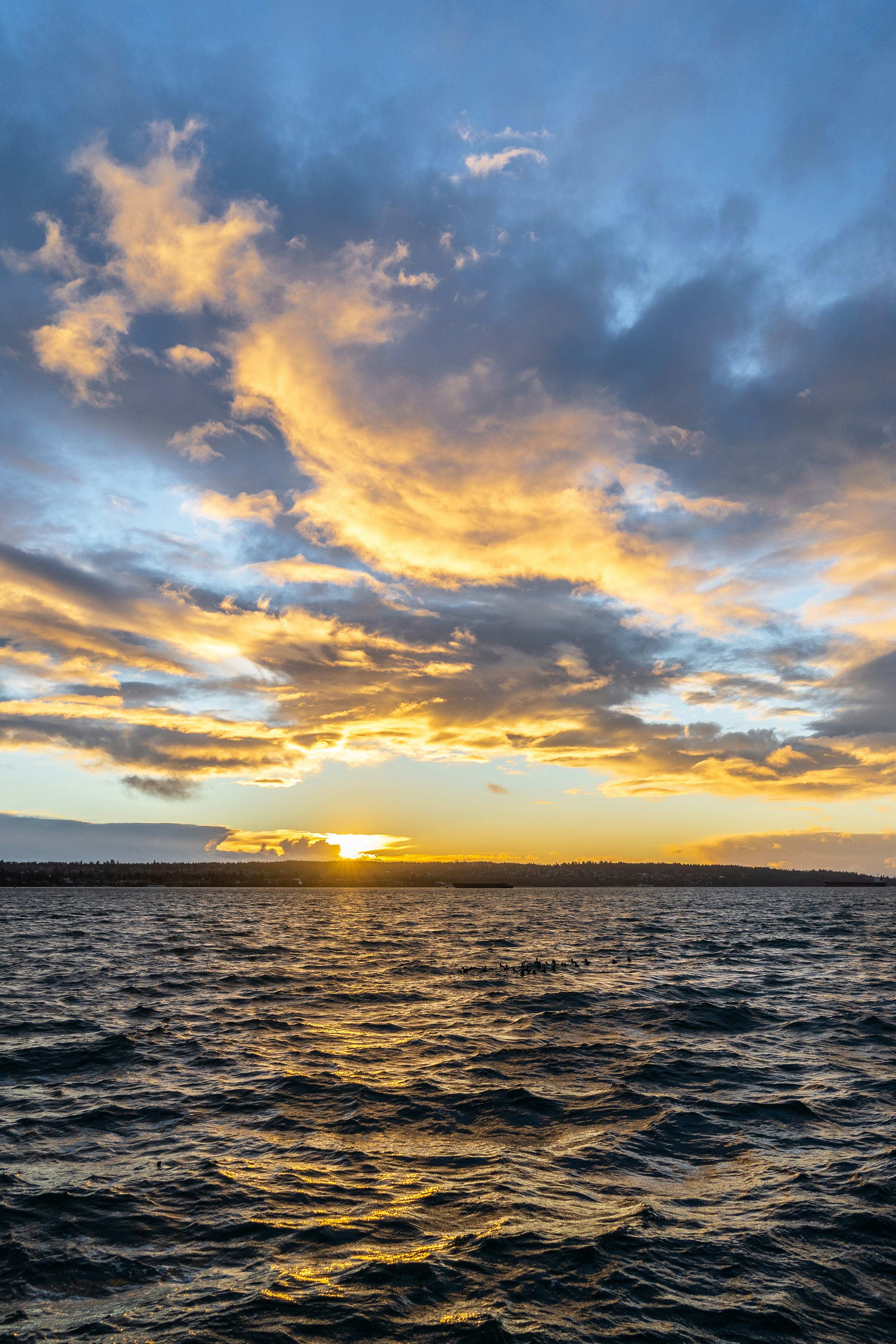 Nature produces the most astoundingly beautiful images: the swirling lava of a volcano, palm trees against a blue sky, snow-capped mountains towering above. Unsplash has magnificent , high-quality photos of all the delights that nature has to offer.