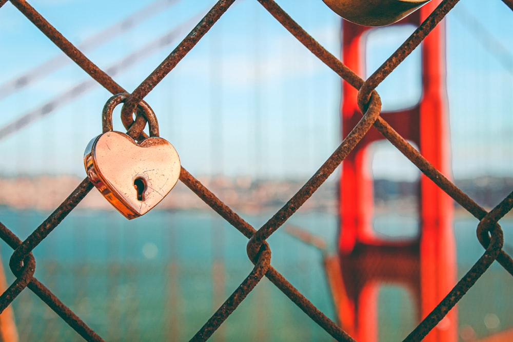 a heart shaped padlock attached to a chain link fence