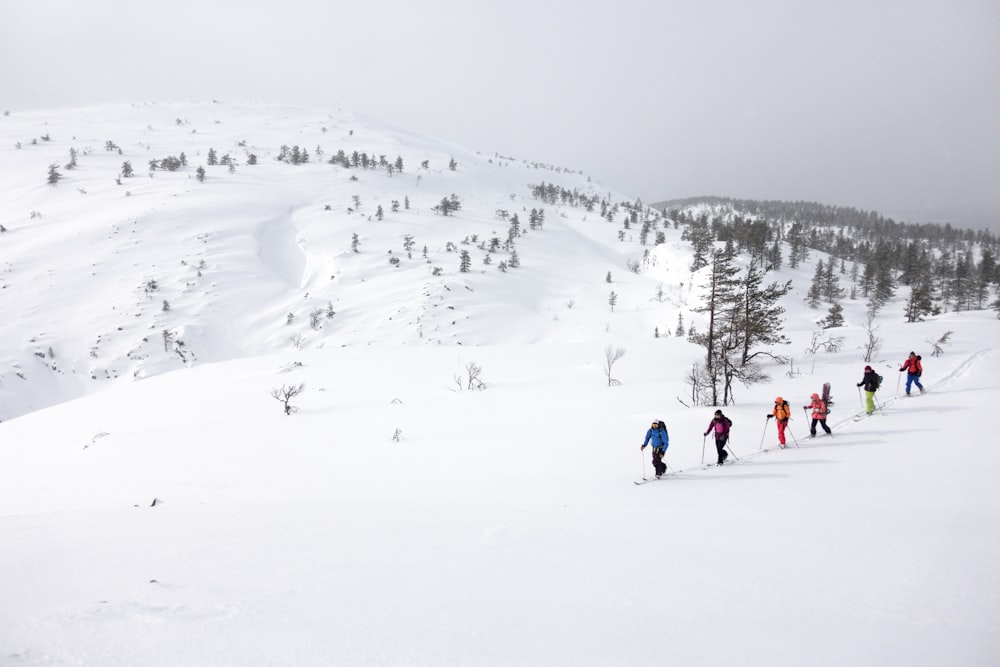 a group of people riding skis down a snow covered slope