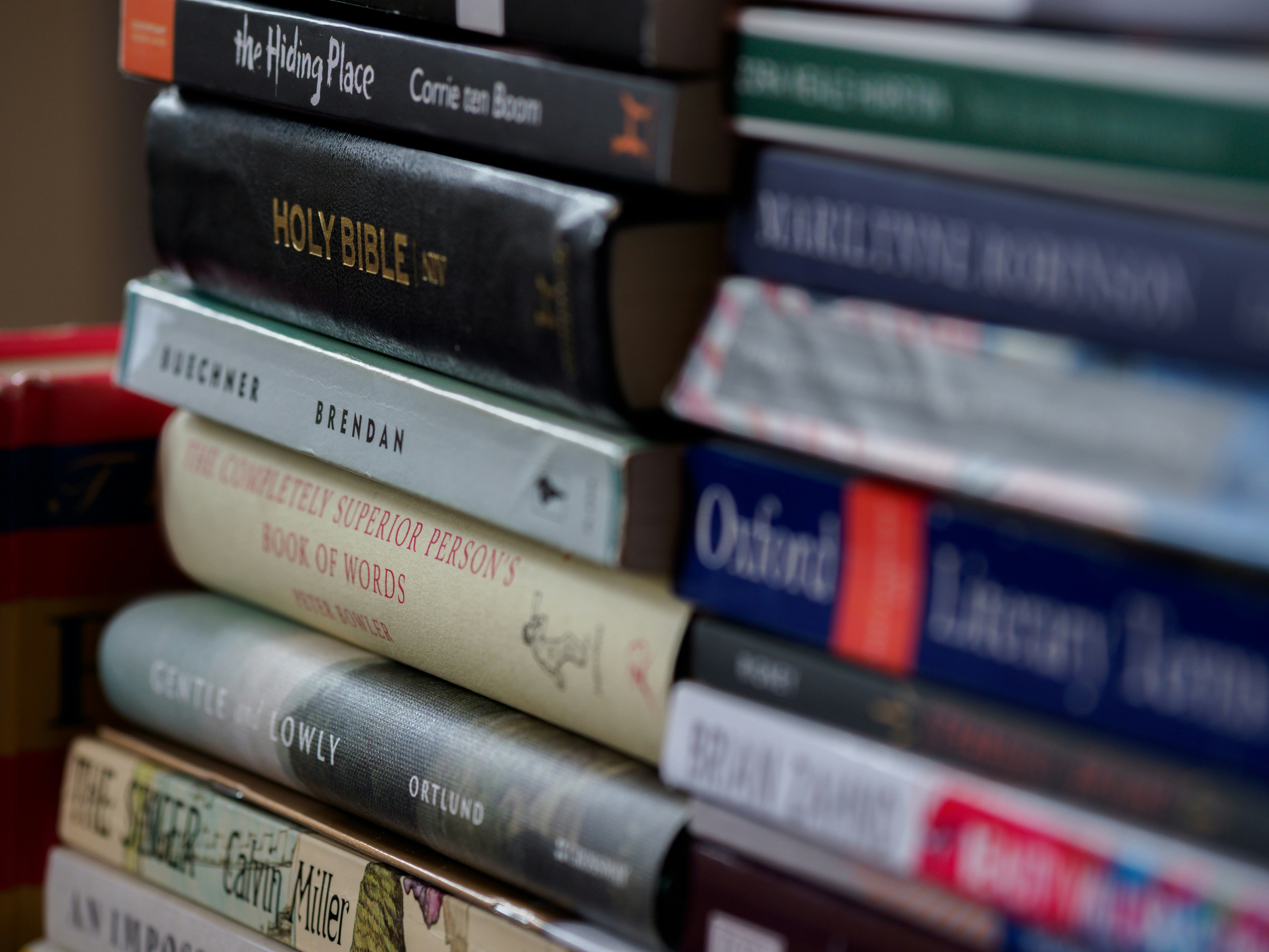 Photo by brett_jordan