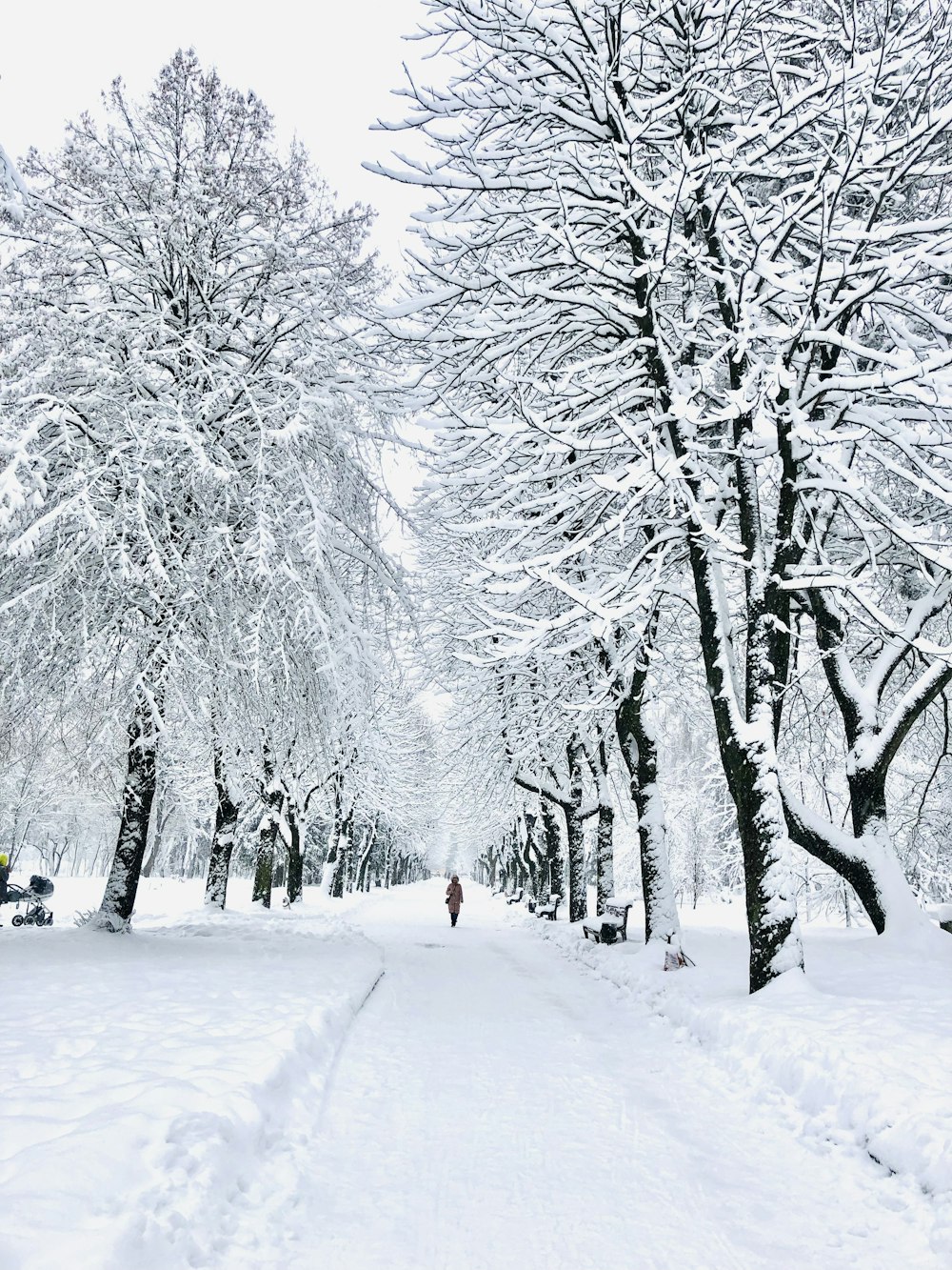 a person walking down a snow covered path