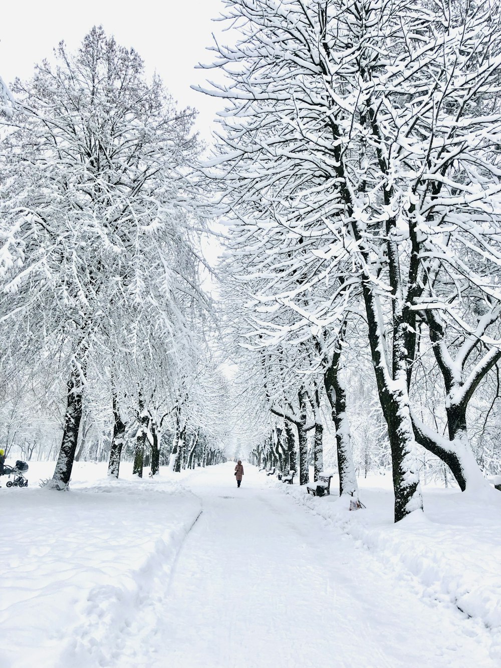 una persona caminando por un sendero cubierto de nieve