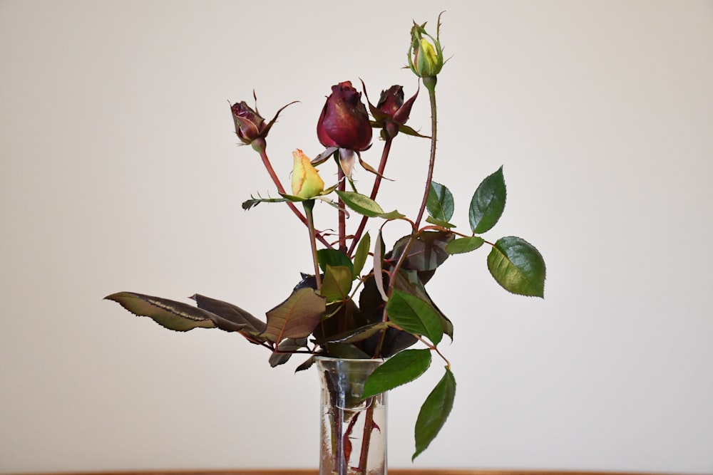 a vase filled with lots of flowers on top of a table