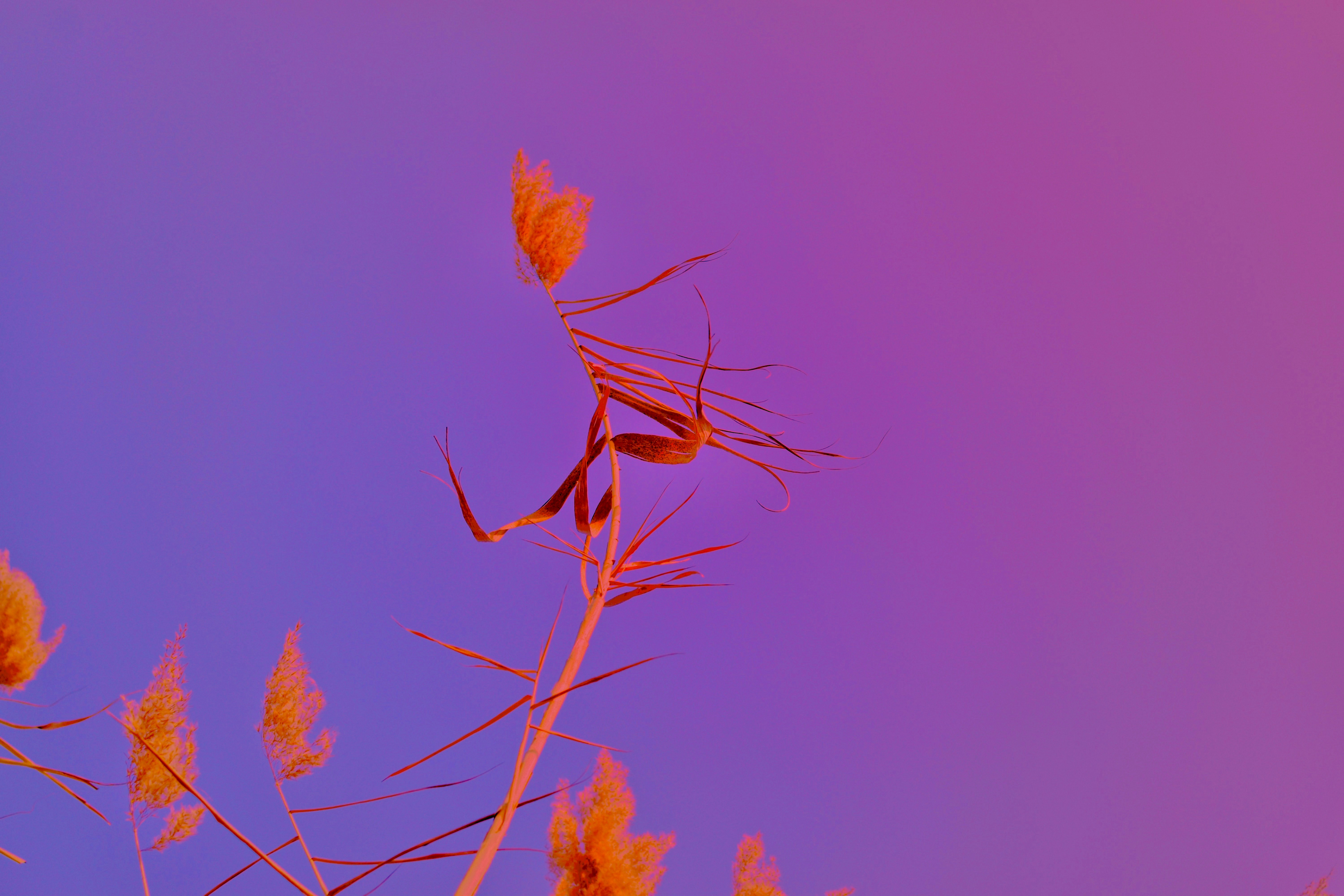 Photo by jizhidexiaohailang