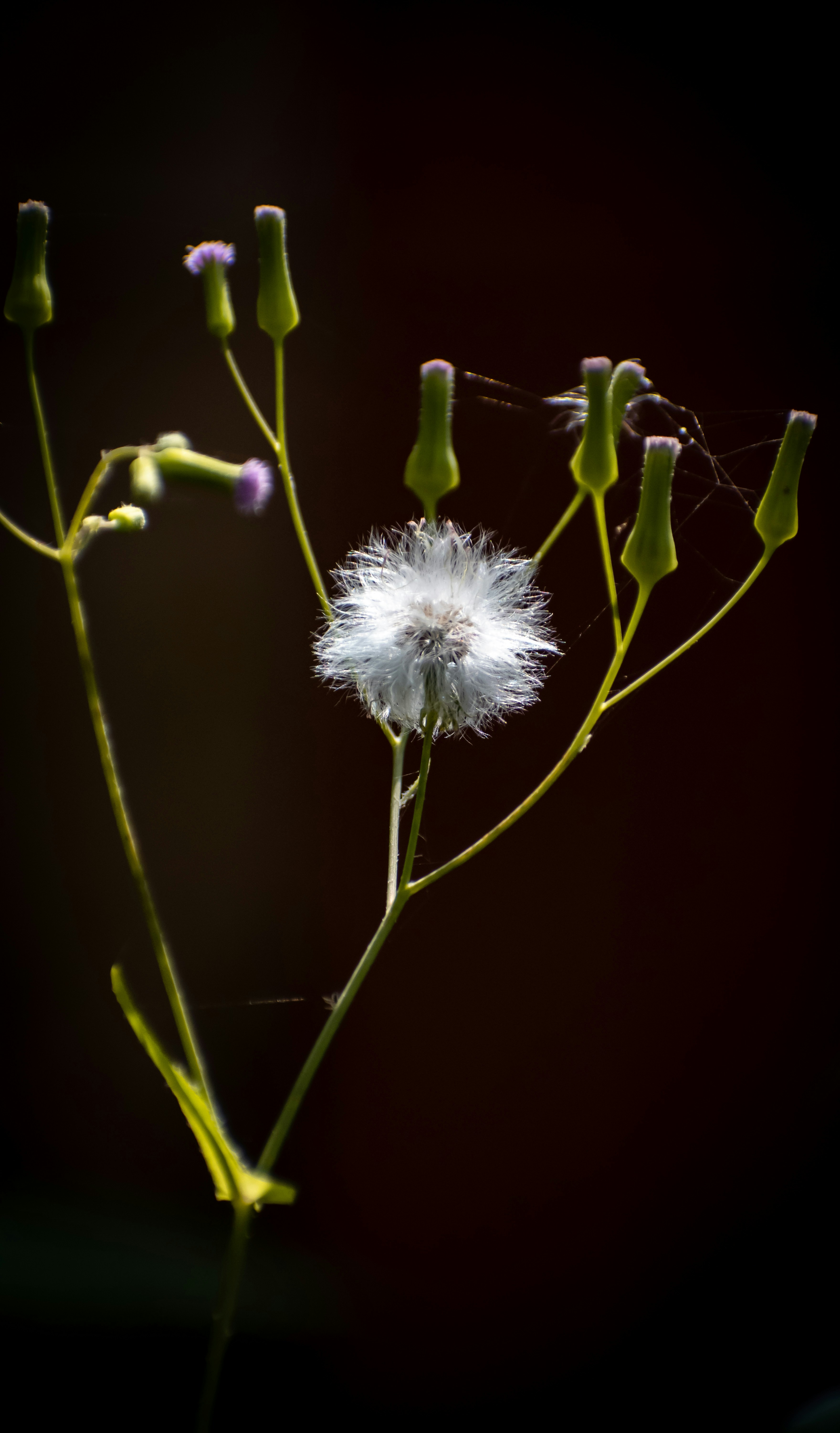 Photo by abhi05