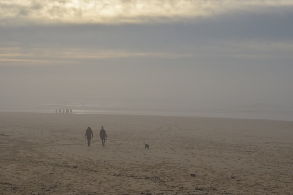 two people and a dog walking on a beach