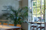Cozy seating area inside the laundromat with plants and natural light.
