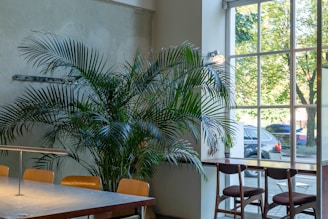 A cozy waiting area with comfortable chairs and a small indoor plant beside a window.