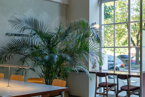 A cozy waiting area with wooden accents and leafy plants by the window.