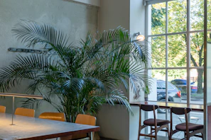 Cozy seating area inside the laundromat with plants and natural light.