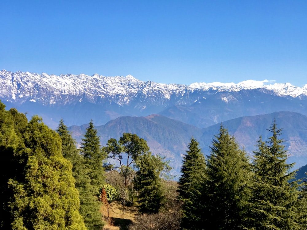 a view of a mountain range from a distance