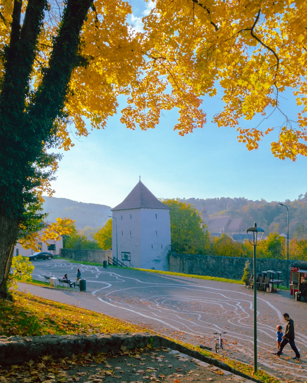 a couple of people walking down a street next to a tree