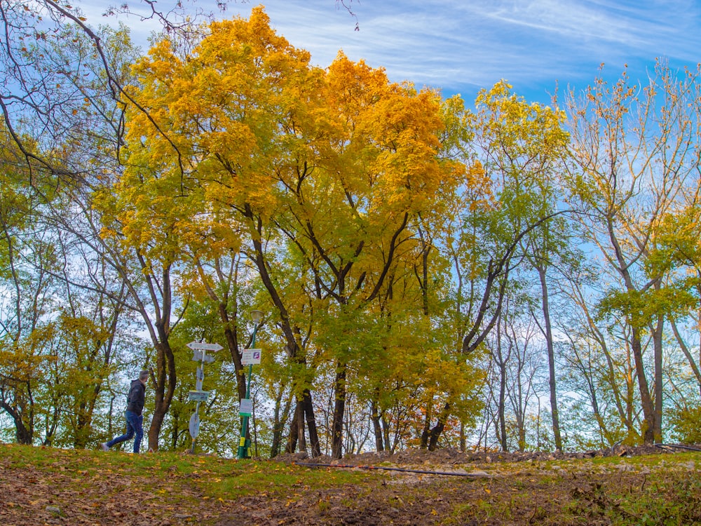 a person standing in the woods near a street sign