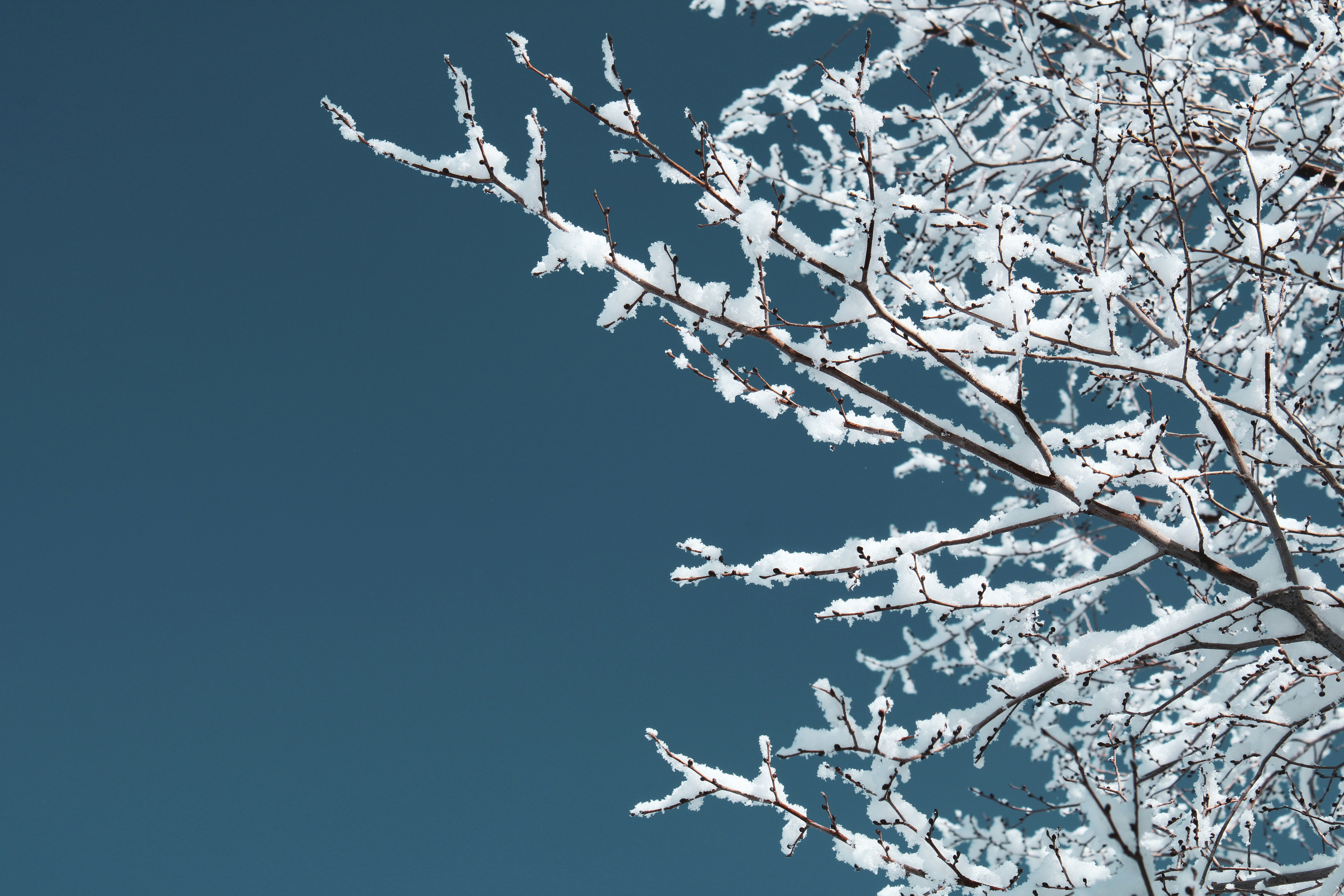 Photo by setarekosari