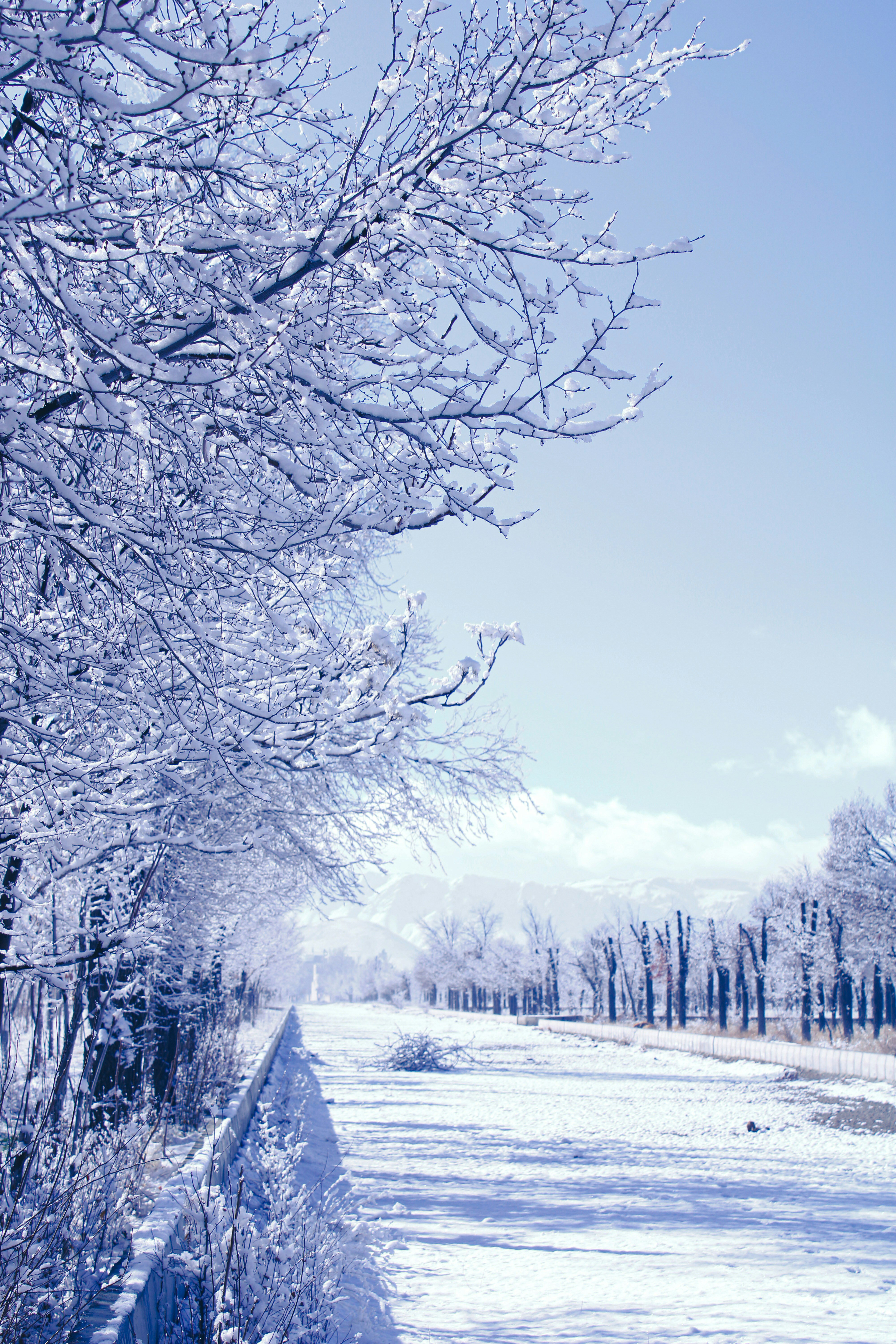 Photo by setarekosari