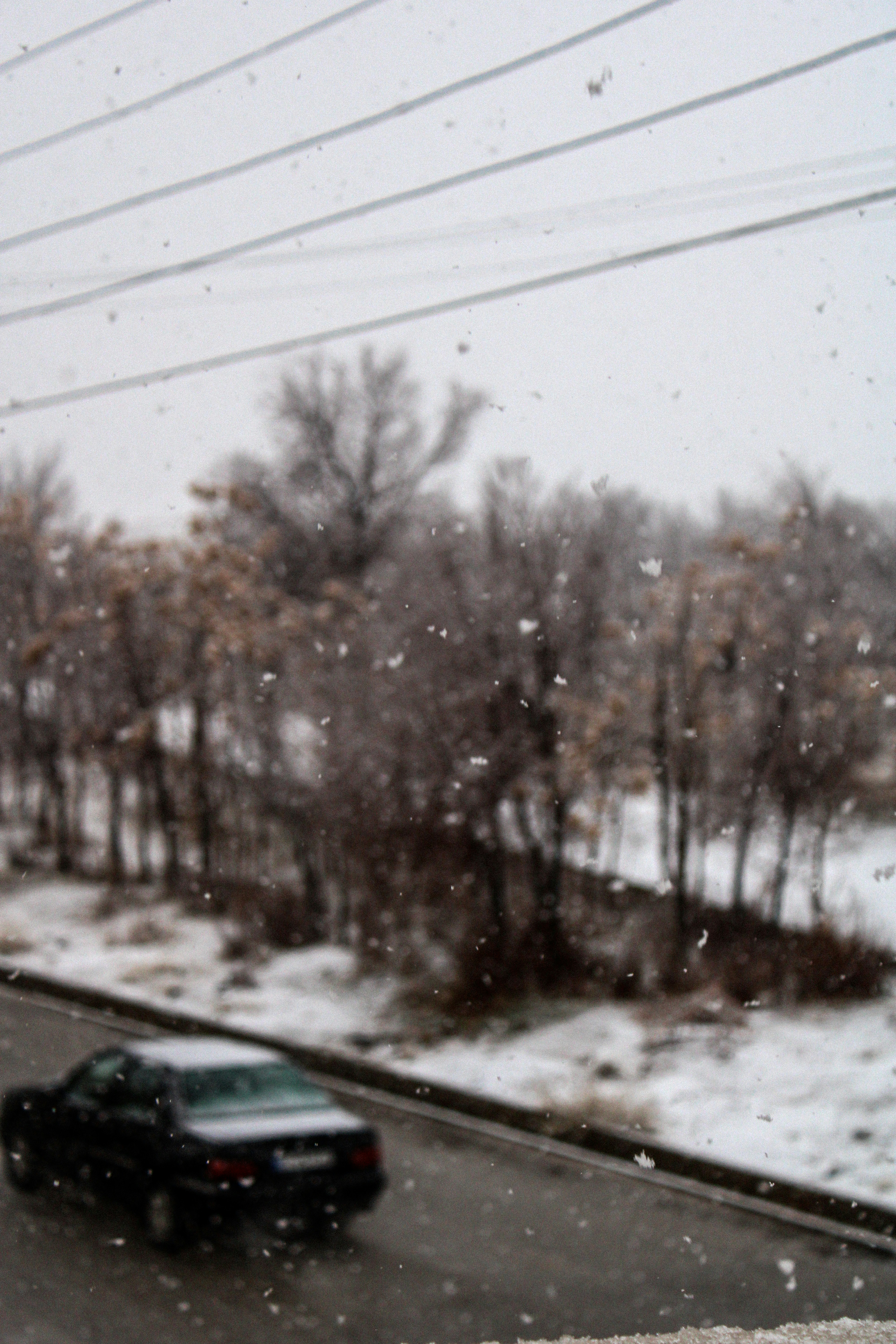 Photo by setarekosari