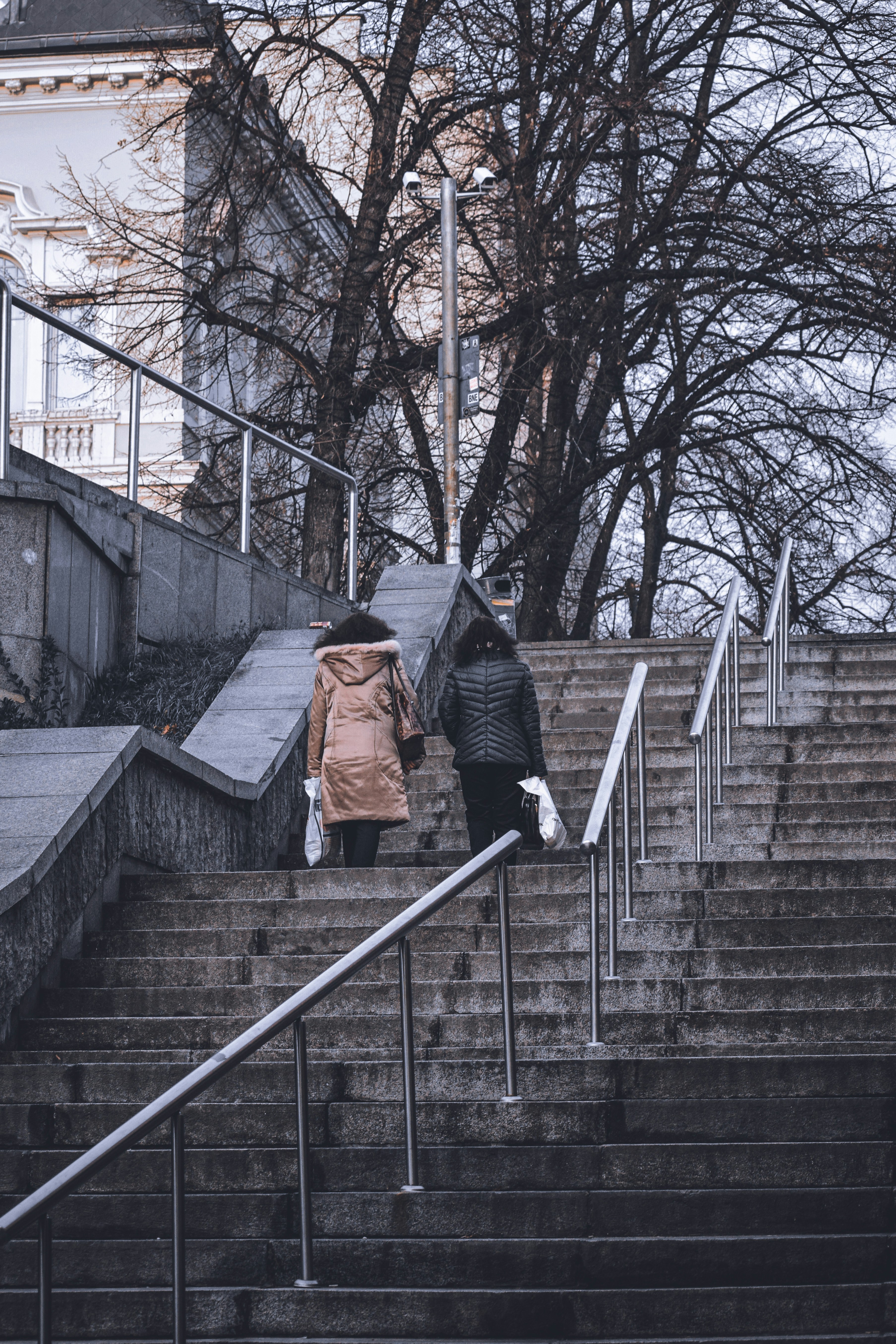 Photo by alex_a_ph