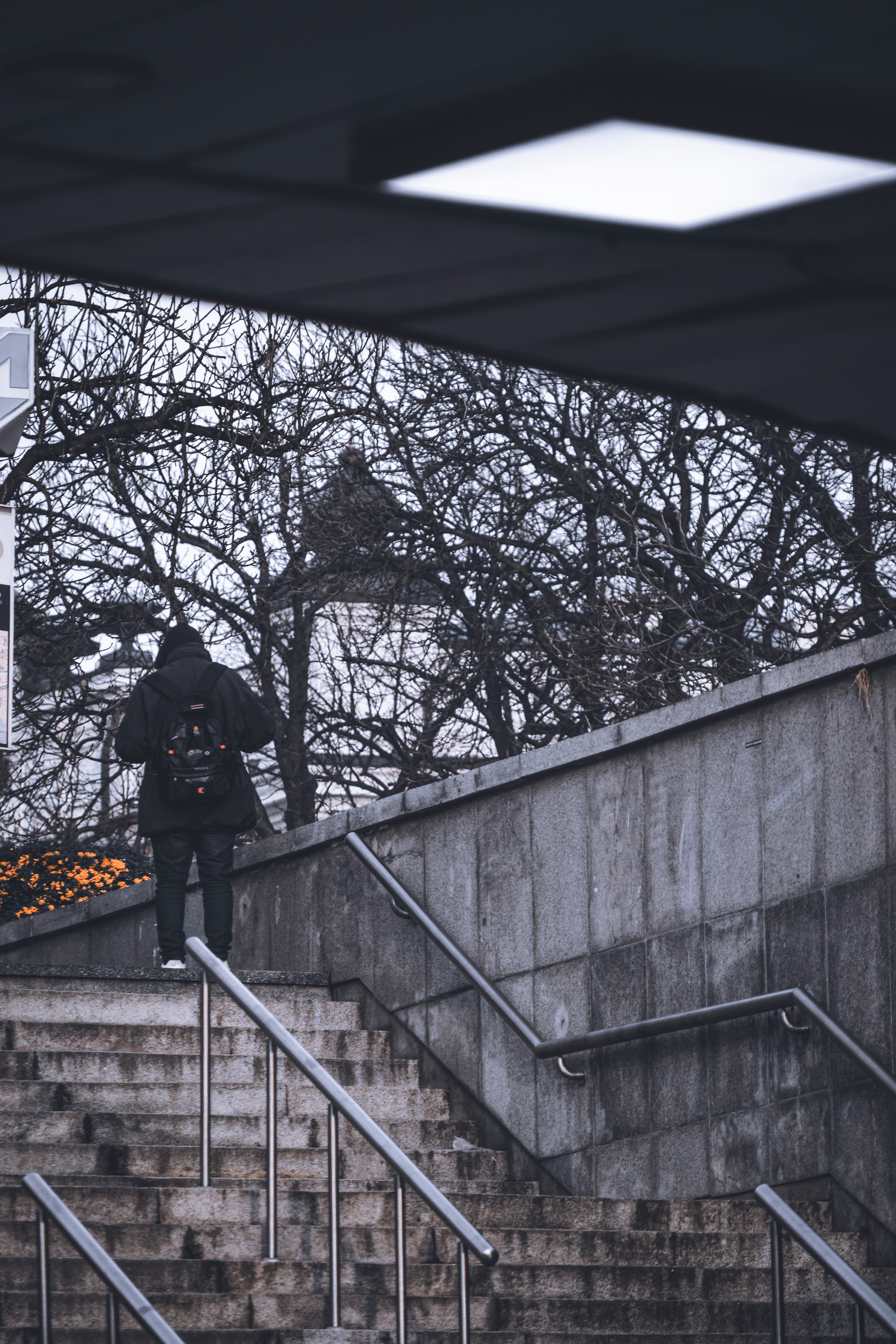 Photo by alex_a_ph
