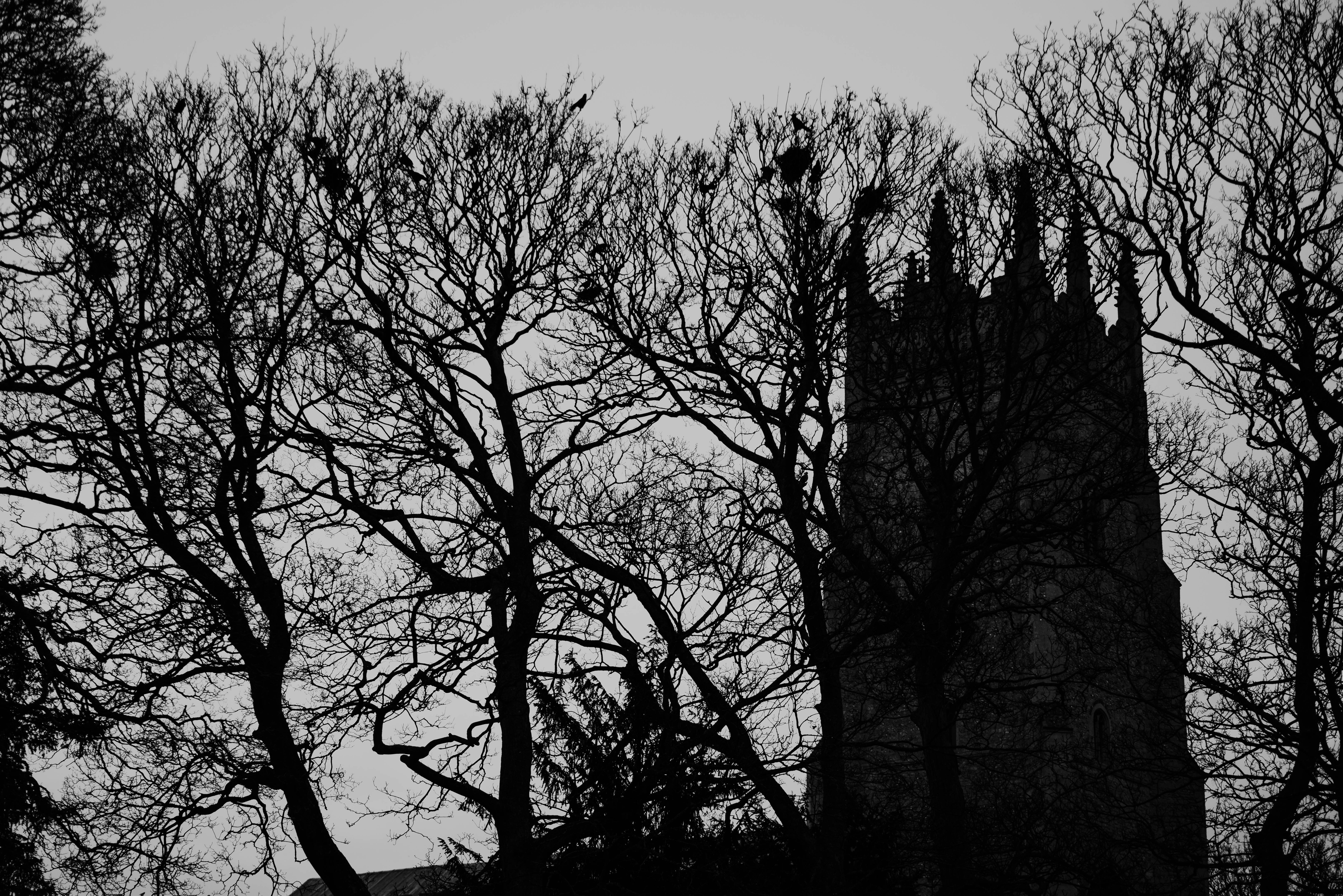 Photo by philhearing