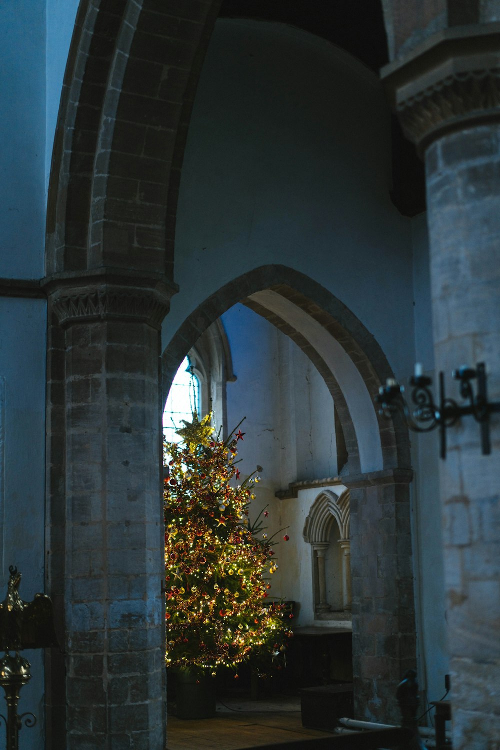 a christmas tree is lit in a church