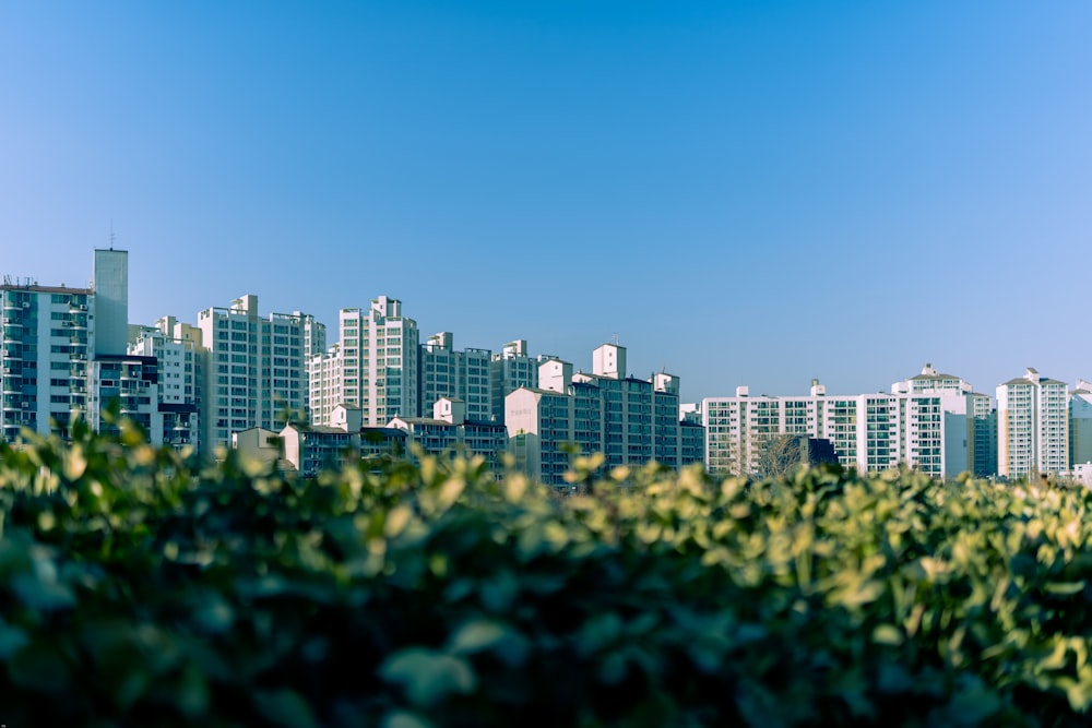Una vista di una città con alti edifici sullo sfondo
