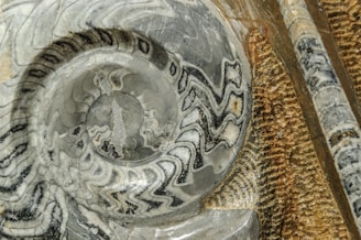 a close up of a glass bowl on a table