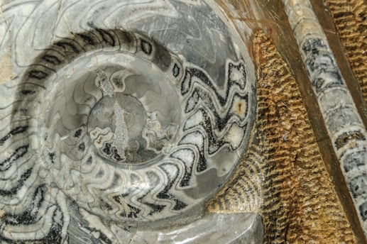 a close up of a glass bowl on a table
