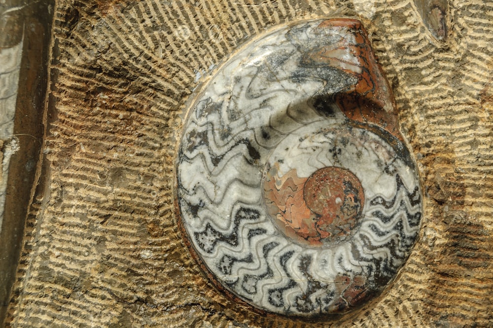a close up of a rock with a painting on it