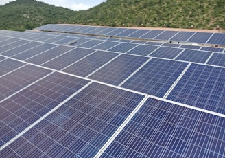 a large group of solar panels in a field