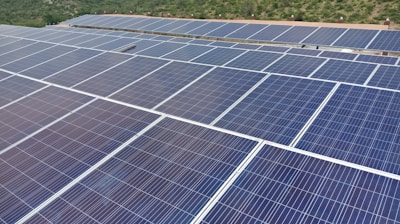 a large group of solar panels in a field