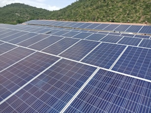 a large group of solar panels in a field