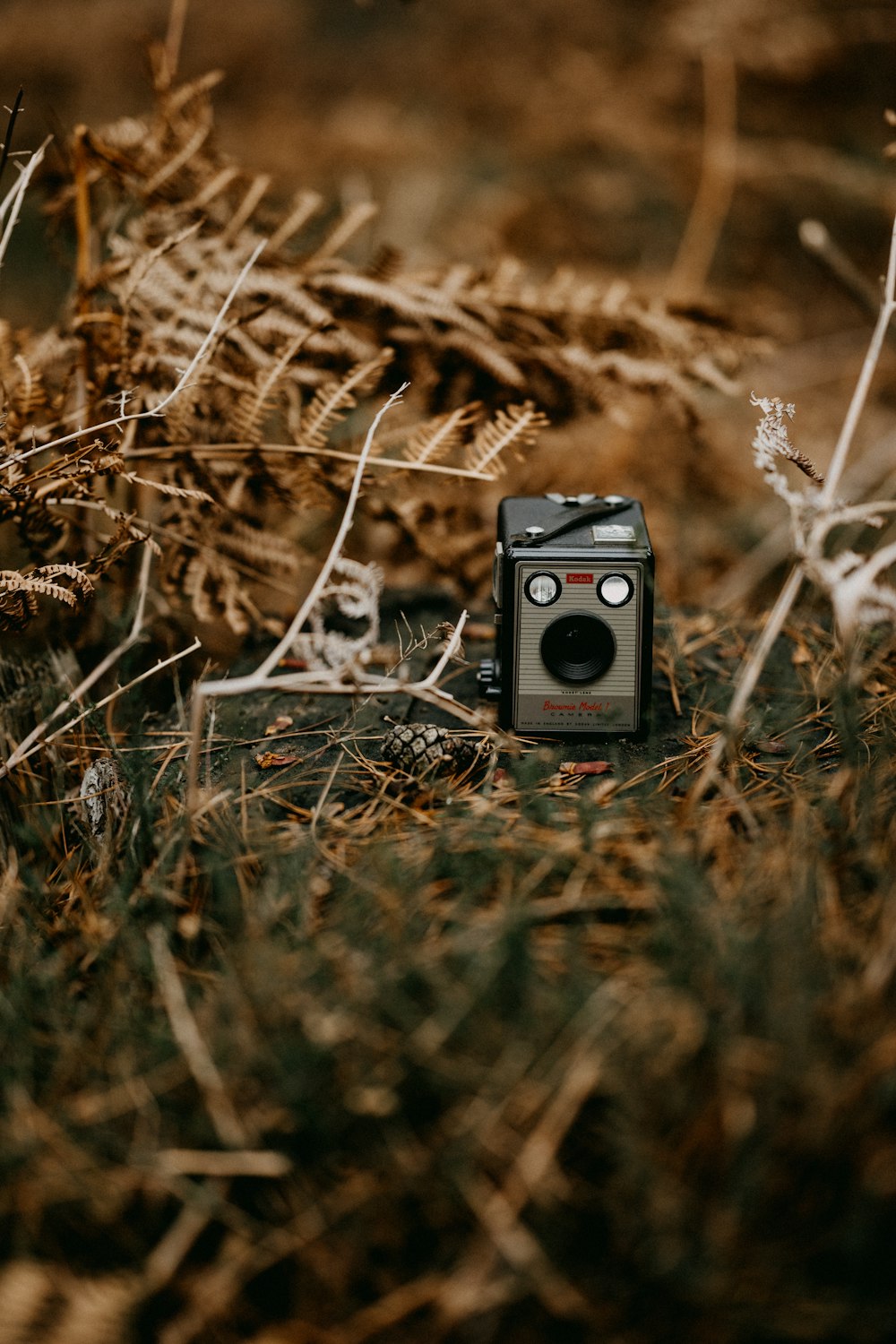 an old camera is sitting in the grass