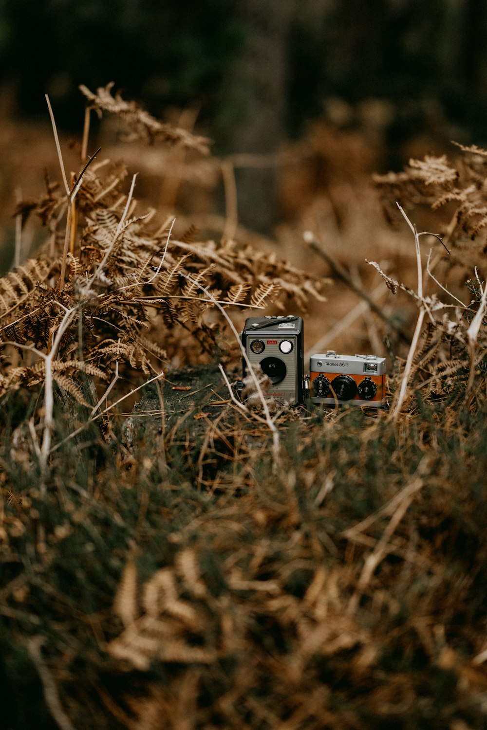 an old camera sitting in the middle of a field