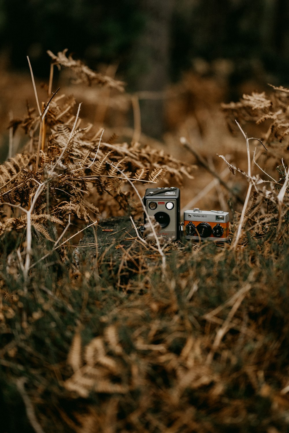 Una vieja cámara sentada en medio de un campo